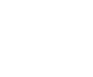 Auto Fix Logo